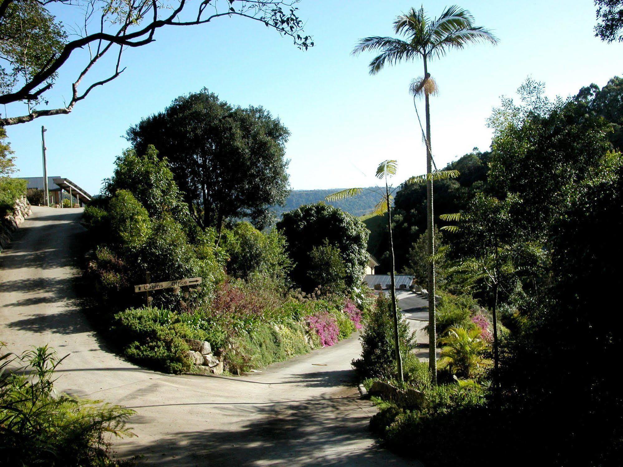 Top Of The Hill Maleny Exterior foto